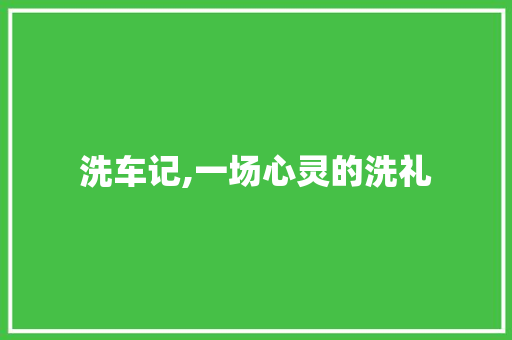 洗车记,一场心灵的洗礼