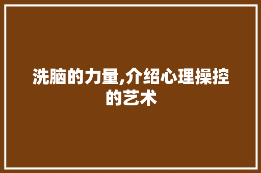 洗脑的力量,介绍心理操控的艺术