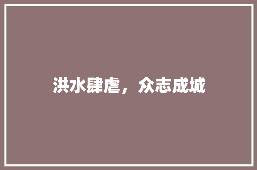 洪水肆虐，众志成城