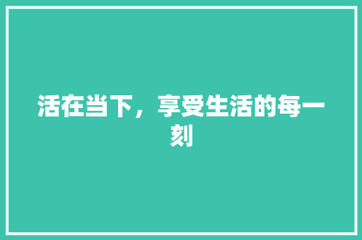 活在当下，享受生活的每一刻