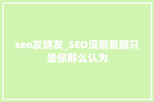 seo发烧友_SEO没前景那只是你那么认为 论文范文