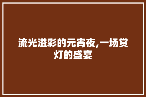 流光溢彩的元宵夜,一场赏灯的盛宴