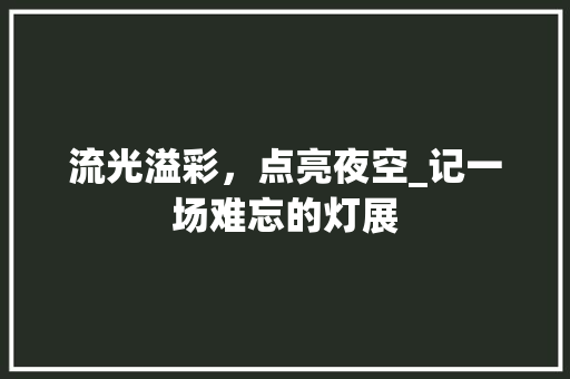 流光溢彩，点亮夜空_记一场难忘的灯展