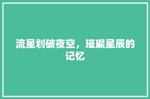 流星划破夜空，璀璨星辰的记忆