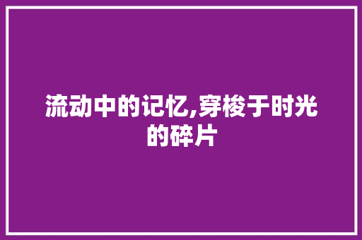 流动中的记忆,穿梭于时光的碎片