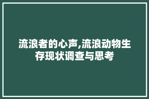 流浪者的心声,流浪动物生存现状调查与思考