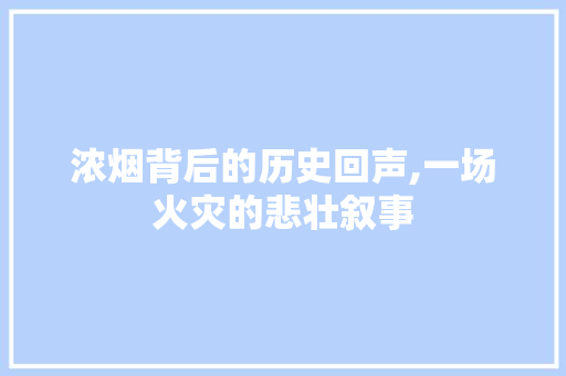 浓烟背后的历史回声,一场火灾的悲壮叙事