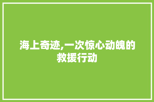 海上奇迹,一次惊心动魄的救援行动