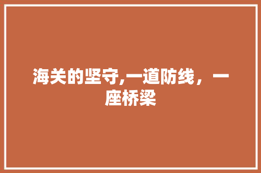 海关的坚守,一道防线，一座桥梁