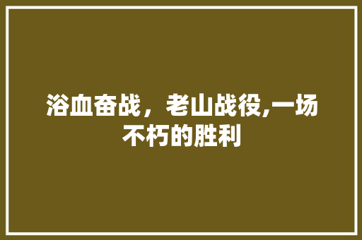 浴血奋战，老山战役,一场不朽的胜利