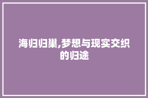 海归归巢,梦想与现实交织的归途