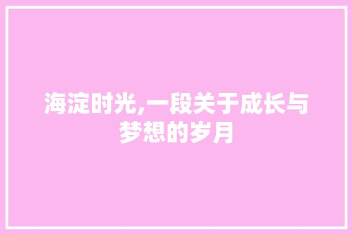 海淀时光,一段关于成长与梦想的岁月