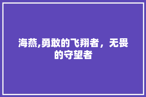 海燕,勇敢的飞翔者，无畏的守望者