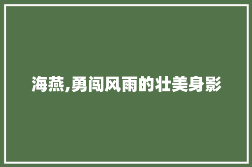 海燕,勇闯风雨的壮美身影