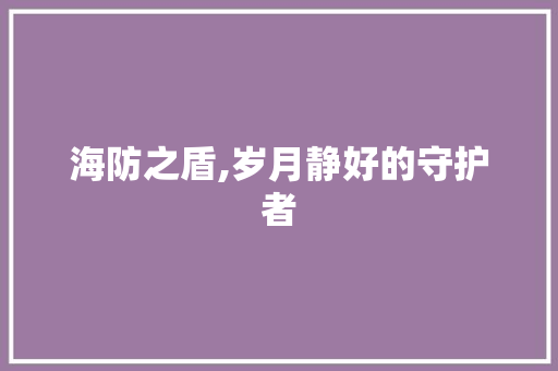 海防之盾,岁月静好的守护者