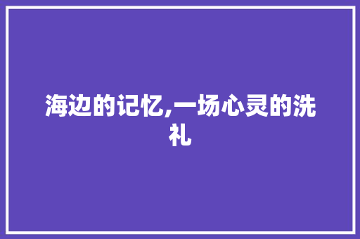 海边的记忆,一场心灵的洗礼