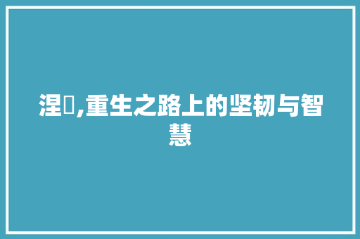 涅槃,重生之路上的坚韧与智慧