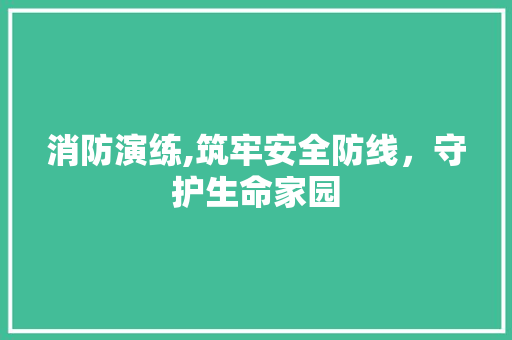 消防演练,筑牢安全防线，守护生命家园