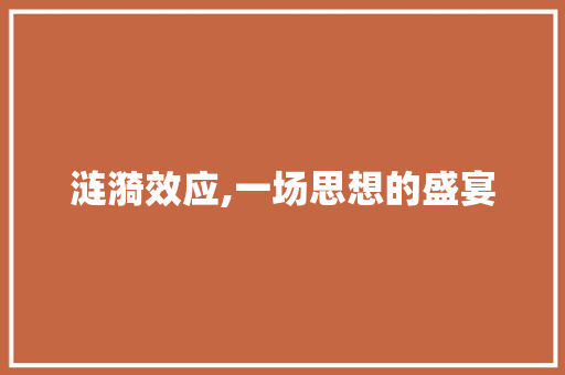 涟漪效应,一场思想的盛宴