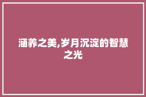 涵养之美,岁月沉淀的智慧之光