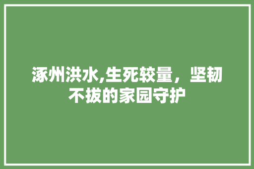 涿州洪水,生死较量，坚韧不拔的家园守护