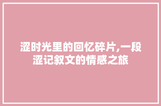 涩时光里的回忆碎片,一段涩记叙文的情感之旅