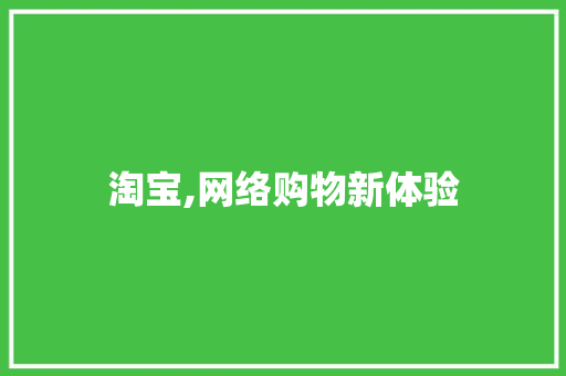 淘宝,网络购物新体验