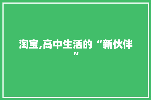 淘宝,高中生活的“新伙伴”