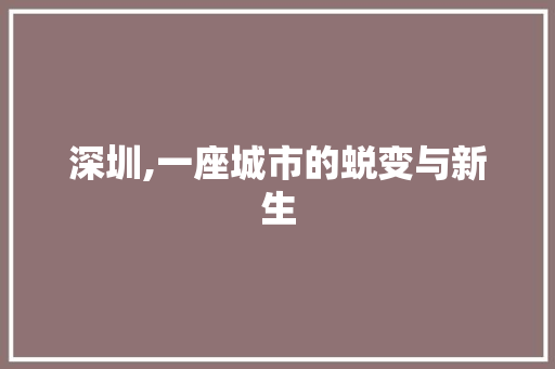 深圳,一座城市的蜕变与新生