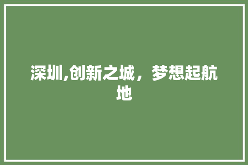 深圳,创新之城，梦想起航地