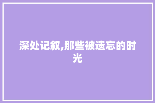 深处记叙,那些被遗忘的时光