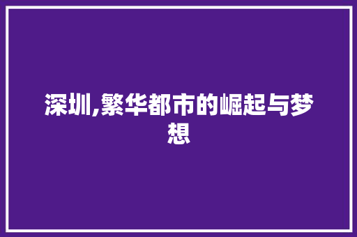 深圳,繁华都市的崛起与梦想