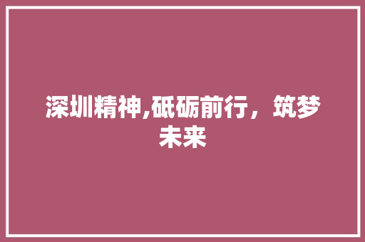 深圳精神,砥砺前行，筑梦未来