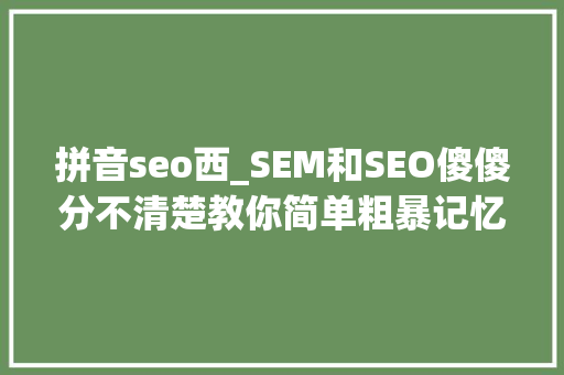 拼音seo西_SEM和SEO傻傻分不清楚教你简单粗暴记忆 简历范文