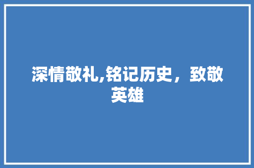 深情敬礼,铭记历史，致敬英雄