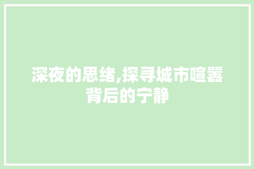 深夜的思绪,探寻城市喧嚣背后的宁静