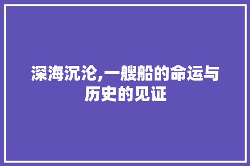 深海沉沦,一艘船的命运与历史的见证