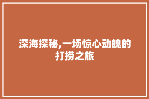 深海探秘,一场惊心动魄的打捞之旅