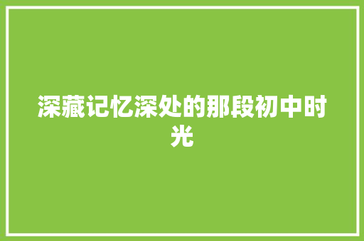 深藏记忆深处的那段初中时光