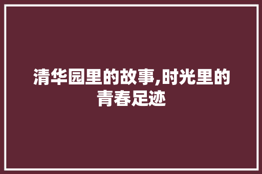 清华园里的故事,时光里的青春足迹