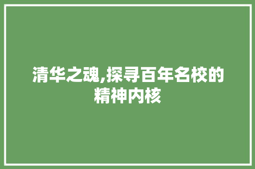 清华之魂,探寻百年名校的精神内核