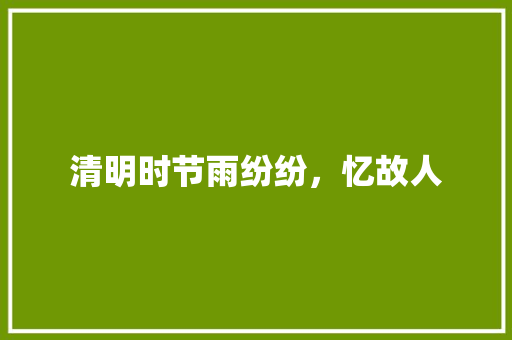 清明时节雨纷纷，忆故人