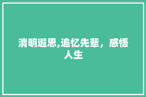 清明遐思,追忆先辈，感悟人生