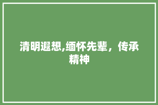 清明遐想,缅怀先辈，传承精神