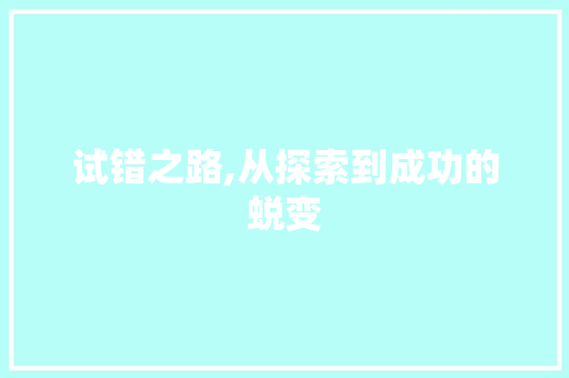 试错之路,从探索到成功的蜕变