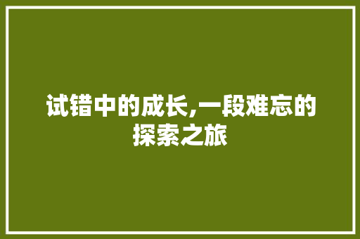 试错中的成长,一段难忘的探索之旅