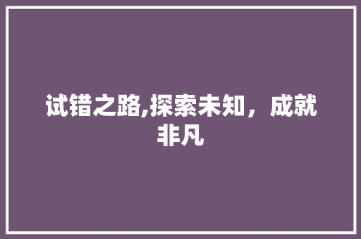 试错之路,探索未知，成就非凡