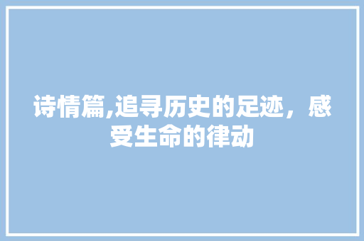 诗情篇,追寻历史的足迹，感受生命的律动