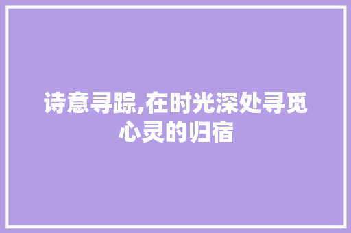 诗意寻踪,在时光深处寻觅心灵的归宿