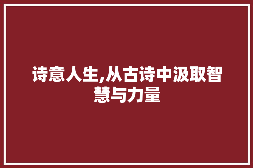 诗意人生,从古诗中汲取智慧与力量